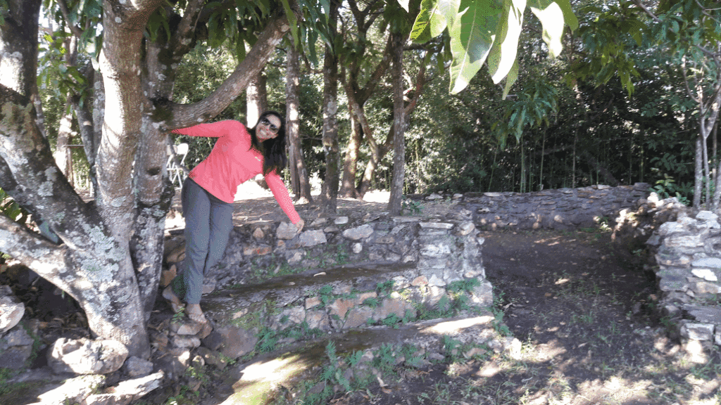 linda serra do topázio tree hugger